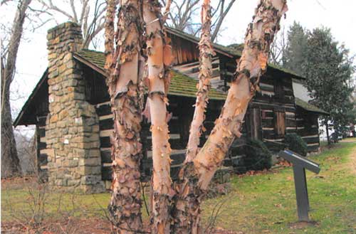 Ruffner Cabin