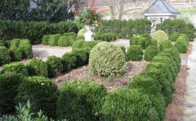 The Boxwood Garden at the Craik-Patton House