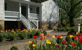 Springtime in the garden at the Craik-Patton House